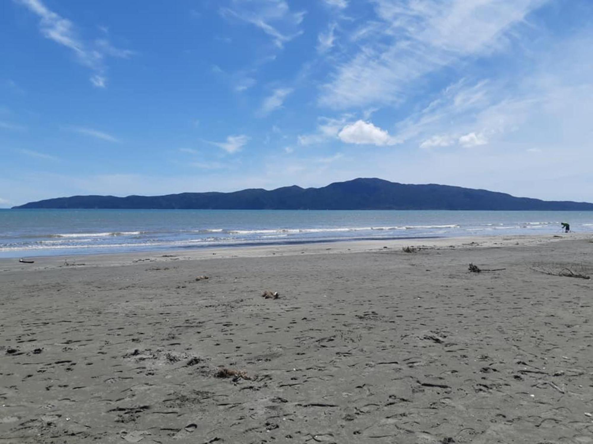 Raumati Guest House Paraparaumu Eksteriør billede